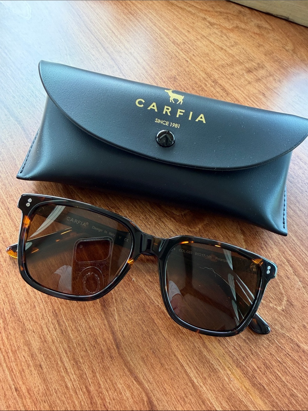 Women’s Tortoiseshell Brown Sunglasses with Black Case
